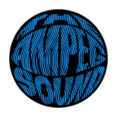 The Ampeg Sound Sticker